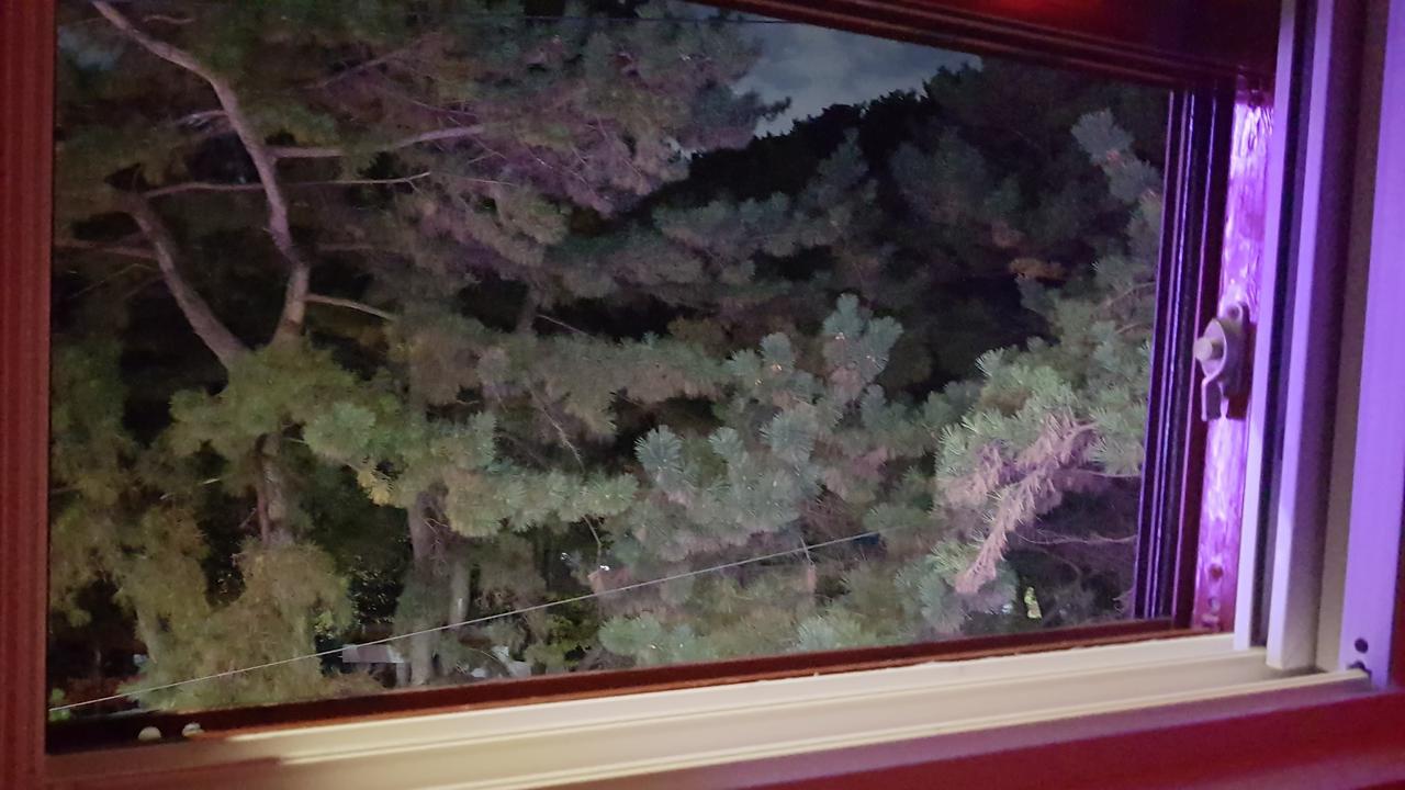 The M Hotel 釜山 外观 照片